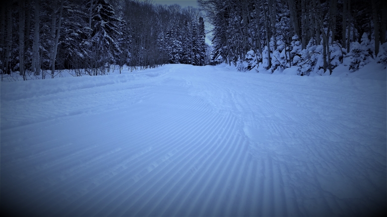 La Sal Mountain Conditions