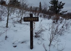 Moab & La Sal Mountain Conditions