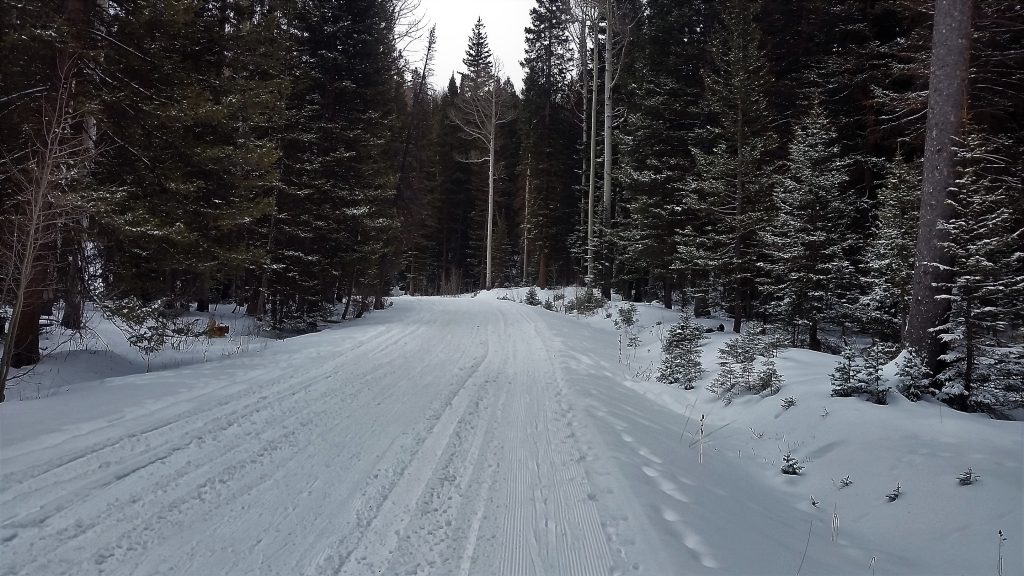 Groomed snow on Geyser Pass Road - La Sal Mountains, UT