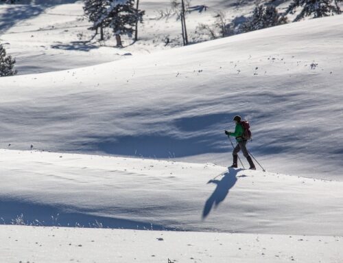 What Type of Cross Country Skiing Should You Choose?