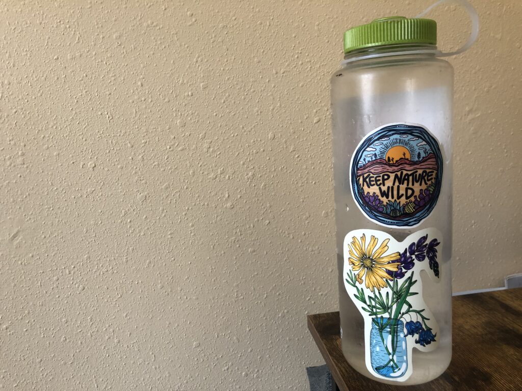 Kaya Lindsay Sticker Water Bottle