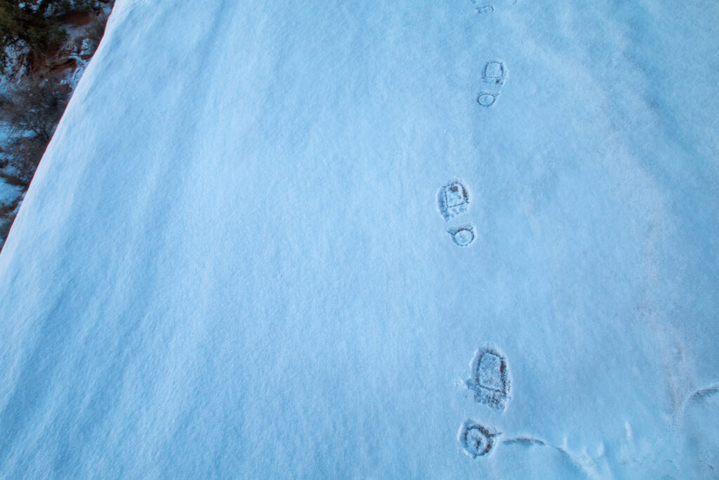 Kaya Lindsay Snow Footprints