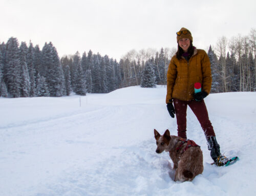 A Beginners Guide to Snowshoeing in the La Sals