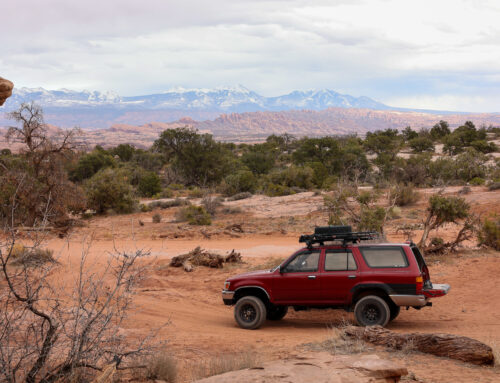 Spring Hiking Trails Around Moab